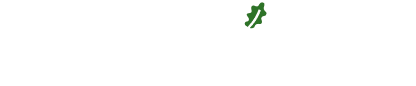 Дубровка.Парк